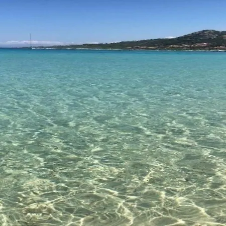 Appartement Orangeraie Calvi (Corsica)